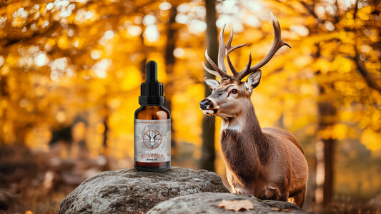 Why Every Hunter Should Use Beard Oil: A Guide for the Rugged Outdoorsman